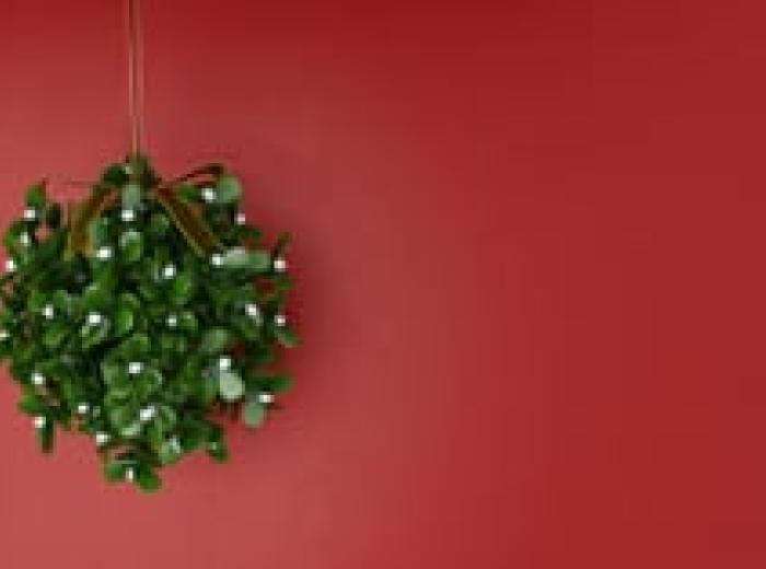 Kissing Under the Mistletoe – Prepare to Pucker Up