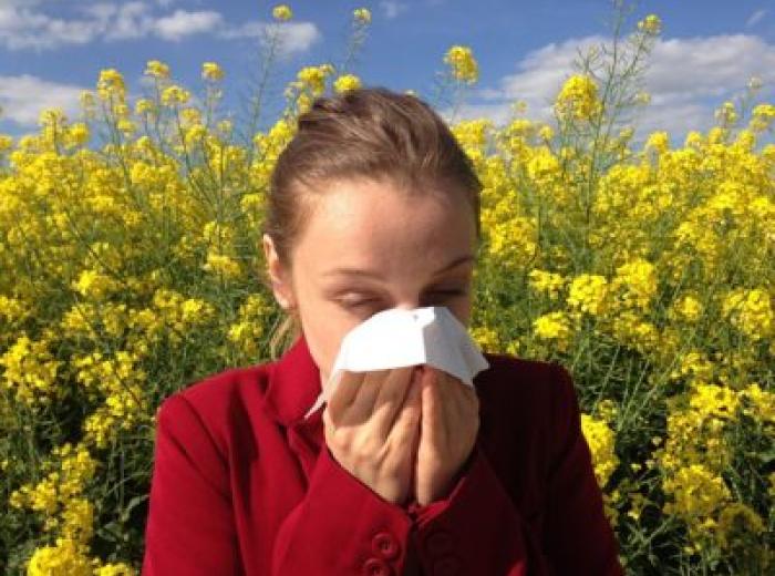 Are Allergies to Blame for Dental Problems?