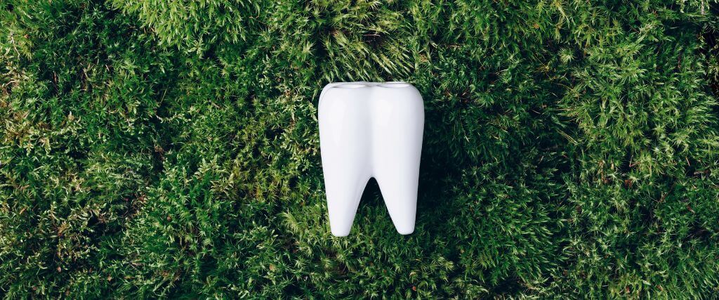 What Is Holistic Dentistry? A Natural Approach to Oral Health